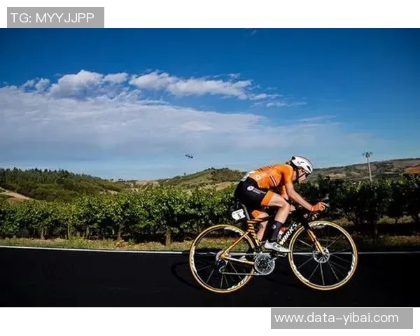 王亮足球：从青训到职业赛场的奋斗历程与未来展望